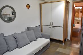 Golondrinas de la Alhambra