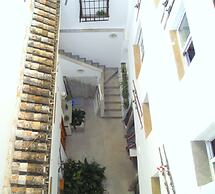 Golondrinas de la Alhambra