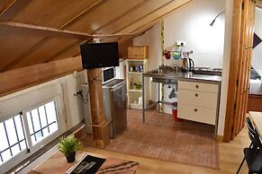 Golondrinas de la Alhambra