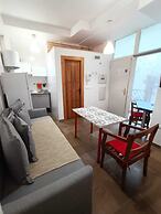 Golondrinas de la Alhambra