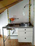 Golondrinas de la Alhambra