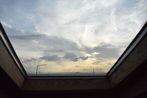 Golondrinas de la Alhambra