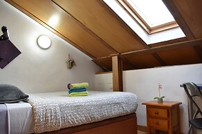 Golondrinas de la Alhambra