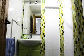 Golondrinas de la Alhambra