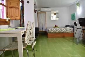 Golondrinas de la Alhambra