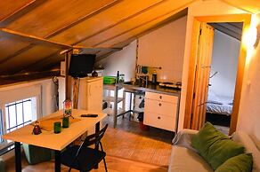 Golondrinas de la Alhambra