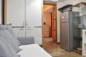 Golondrinas de la Alhambra