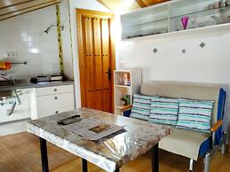 Golondrinas de la Alhambra