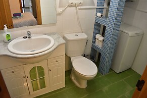 Golondrinas de la Alhambra