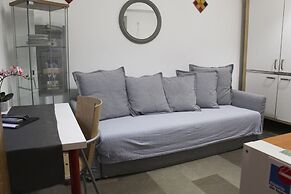 Golondrinas de la Alhambra