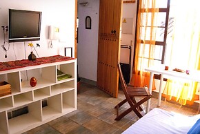 Golondrinas de la Alhambra