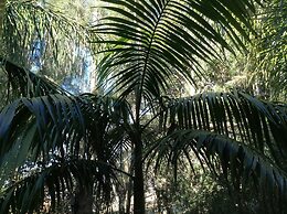 Mollymook Paradise Haven Motel