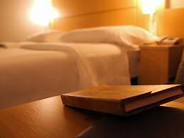 Ibis Asuncion