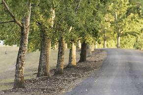 Clarendon Forest Retreat