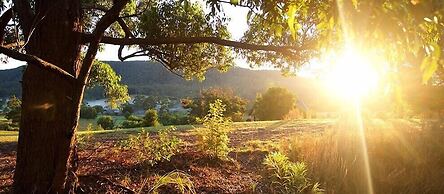 Clarendon Forest Retreat