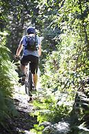 Clarendon Forest Retreat