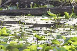 Clarendon Forest Retreat