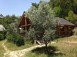 Olympos Village