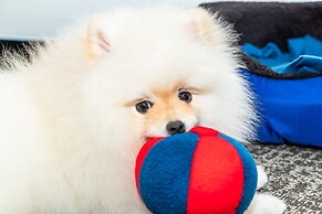 Hotel GHL Collection 93