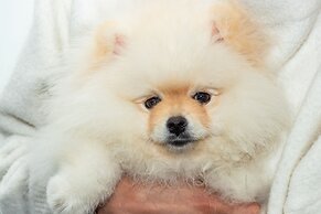 Hotel GHL Collection 93