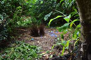 Camelot Boutique Accommodations