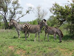 Mafigeni Safari Lodge