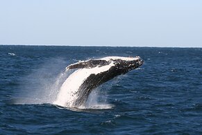 Nelson Bay Breeze Holiday Apartments