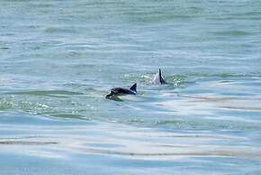 Pousada Berro Do Jeguy