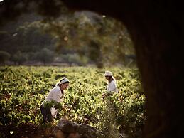 Calypso Villas Zakynthos