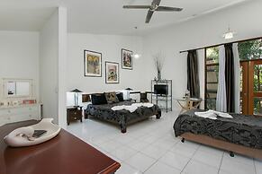 Daintree Wild Zoo & B&B