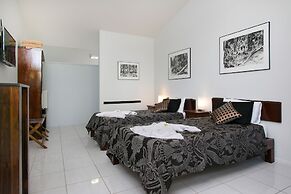 Daintree Wild Zoo & B&B