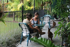 Daintree Wild Zoo & B&B