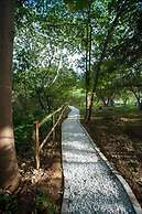 The Oaks Tamarindo Condominiums