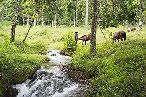 Blue River Resort & Hot Springs