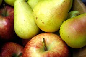 Hotel Pacoche Murcia