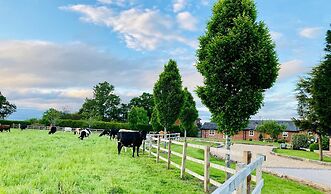 New Farm Bed & Breakfast