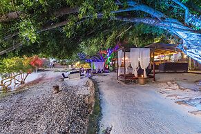 Chantillys on the Bay