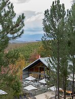 Old Mac Daddy - Campground