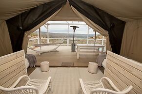 Old Mac Daddy - Campground