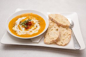 Old Mac Daddy - Campground