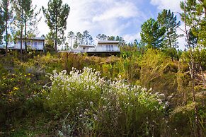 Old Mac Daddy - Campground