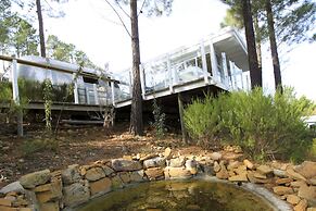 Old Mac Daddy - Campground