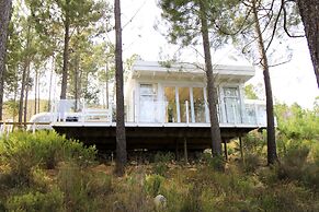 Old Mac Daddy - Campground