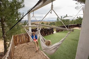 Old Mac Daddy - Campground