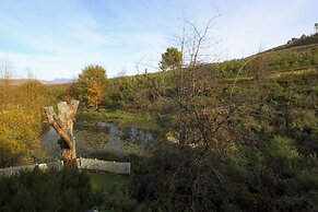 Old Mac Daddy - Campground