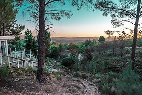 Old Mac Daddy - Campground