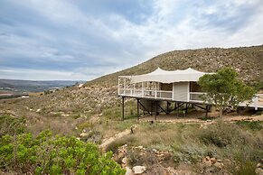 Old Mac Daddy - Campground