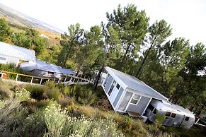 Old Mac Daddy - Campground