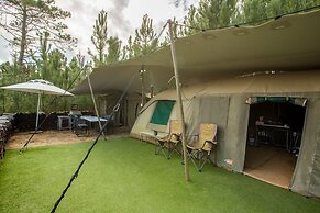 Old Mac Daddy - Campground