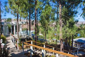 Old Mac Daddy - Campground